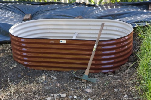 First garden bed First garden bed