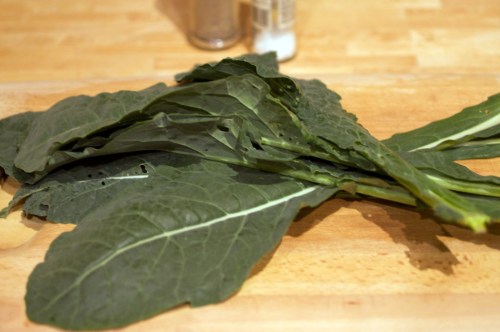 Tuscan kale, the first produce to come from our garden