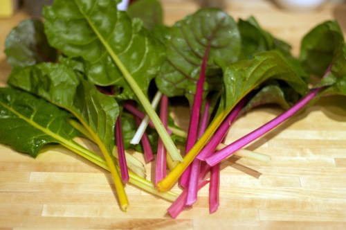 Five colour silverbeet, just about to go into a cheese and spinach pie