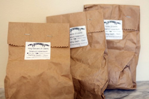 Three packets of seed potatoes, waiting for the new garden bed