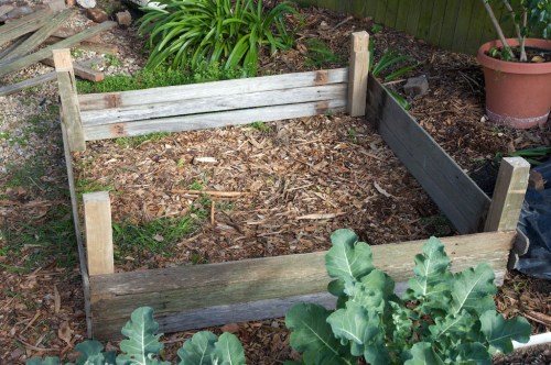 Potato bed made of recycled fence palings, with room for upwards expansion