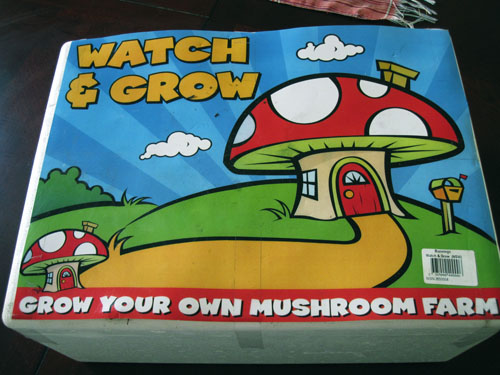 Mushroom kit: grow your own