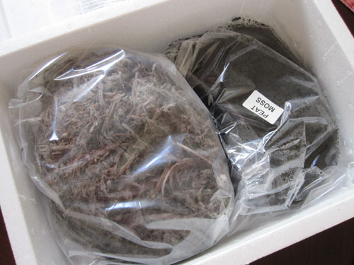 Inside the mushroom kit: compost and peat moss