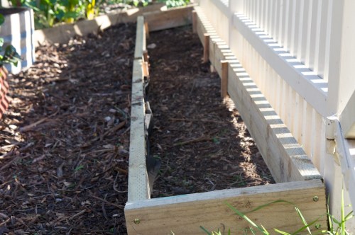 The new garden bed behind the front fence