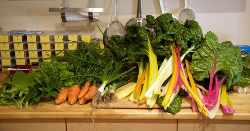 A veritable cornucopia from the garden