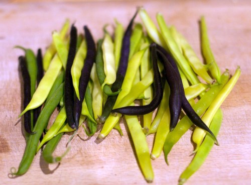 Lewisham_20091103_5045