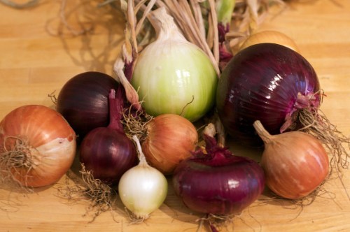 Lewisham_20100227_5234