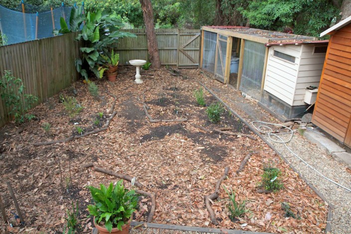 The "before shot" of our back garden, with seedlings planted for our mini native bush block.