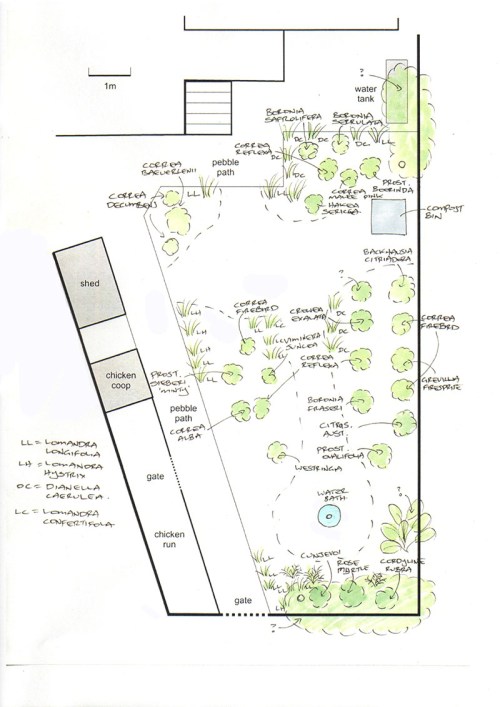 BackGarden-121224a-lowres