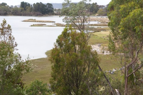 View down to the river at Inverawe Native Gardens