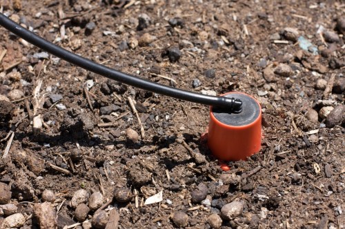 Water spike in the ground (note the 4mm elbow inserted into the end cap at the top of the spike)