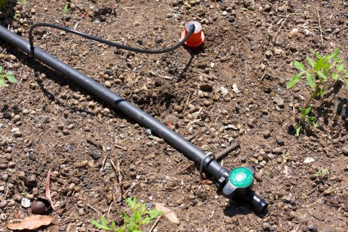 The water spike in place, attached to our 19mm polypipe network.