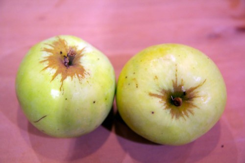 Our first apples, Granny Smith I think