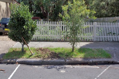 Just starting to pull out the first of the grass