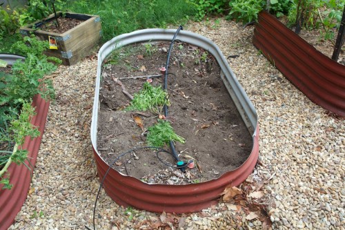 Everything looks fine on the surface, but underneath, tree roots have taken over it all