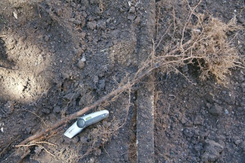 That would be the problem then!