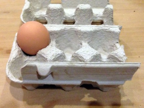 Is this the egg that it's supposed to be?