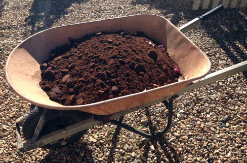 A wheelbarrow full of coffee.