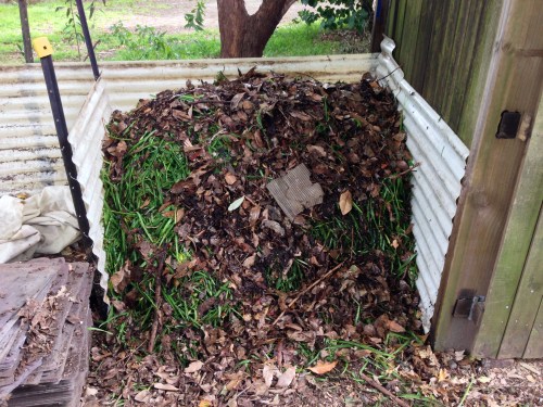 A proper compost heap, out the back