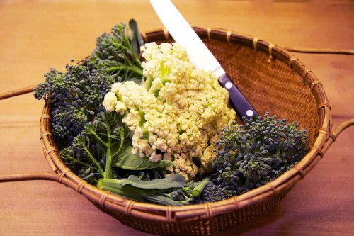 Plenty of broccoli and cauliflower