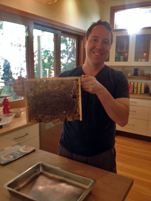 Our first frame of honey. Photo courtesy of Sarah Bosett.