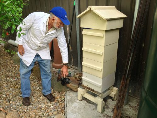 Gavin getting ready to open the hive...