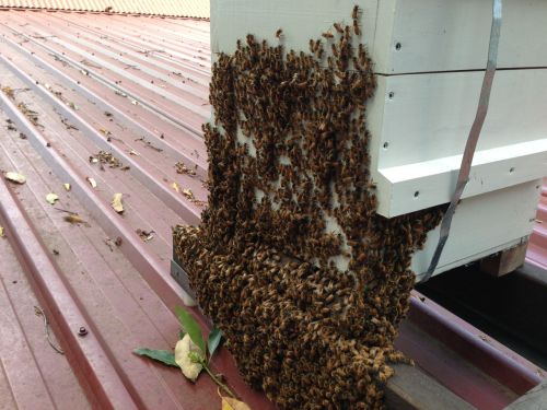 ... and then at 1pm ...