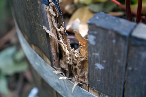 Yep, that would be terminates then.