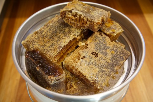 Honeycomb, ready for the honey to be extracted.