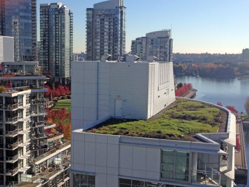 A green roof on top of a skyscraper, as seen from the Granville bridge
