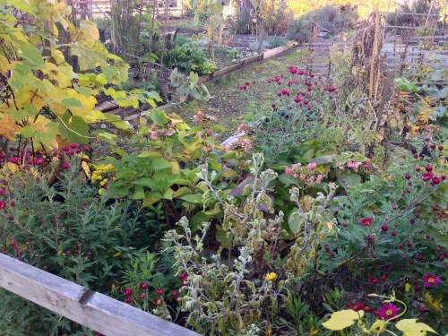 Community garden, right in the heart of the city.