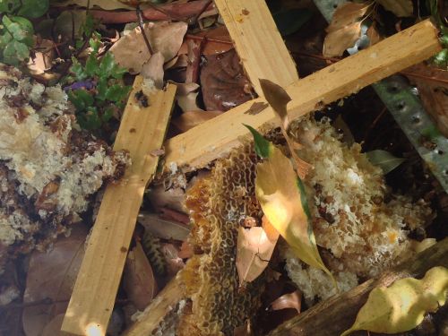 Not much left for some of the frames.