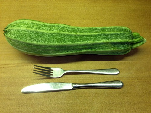 Heirloom zucchini, huge but still tasty!