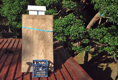 Our beehive hiding from the sun.