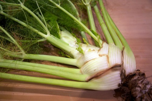 Florence fennel -- delicious!