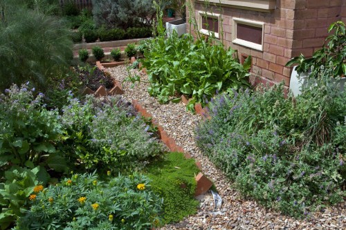 One half of the front gardens, planted in potager style.