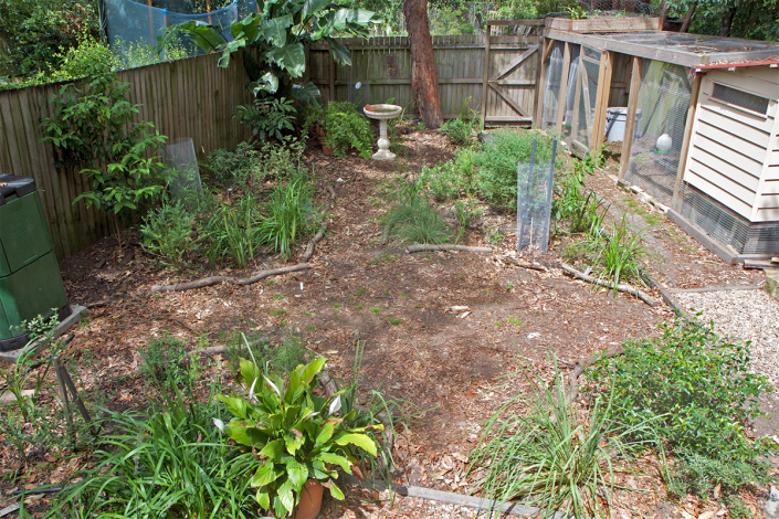 Our native back garden, one year on.