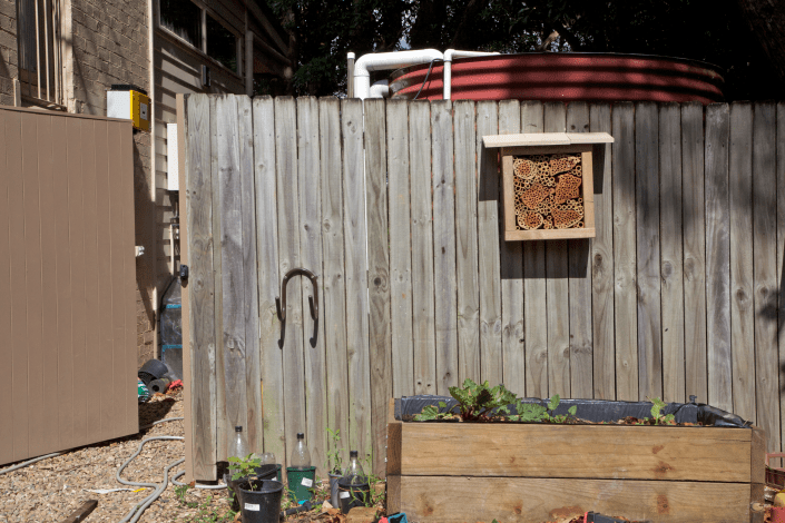 It makes for an attractive addition to the garden!