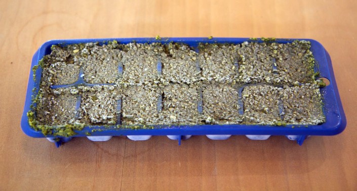 Yes, that's an ice cube tray full of pesto :-)