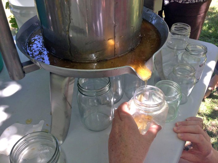 Harvesting honey at the last natural beekeeping gathering in Sydney.