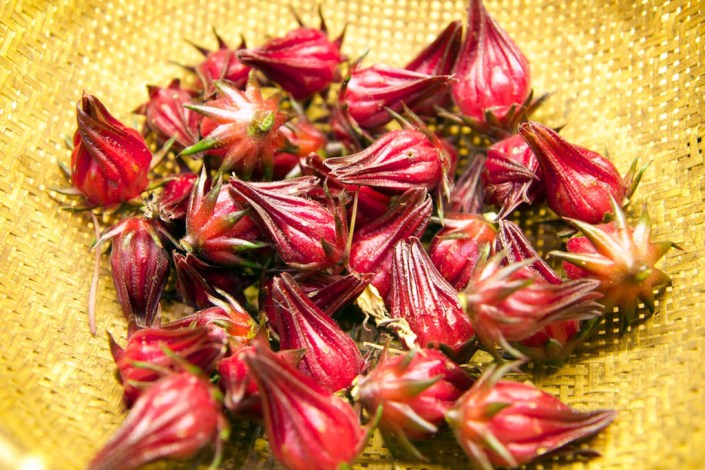 A basket full of rosella calyx.