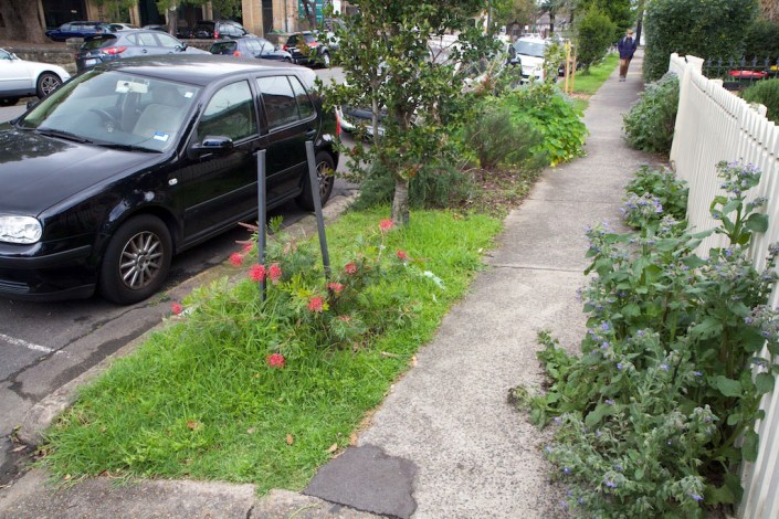The last patch of grass in the nature strip alongside our house.
