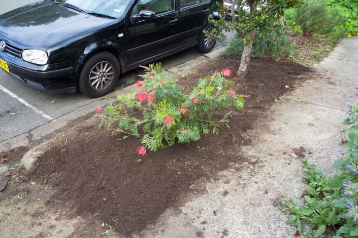 Nothing but bare earth now!