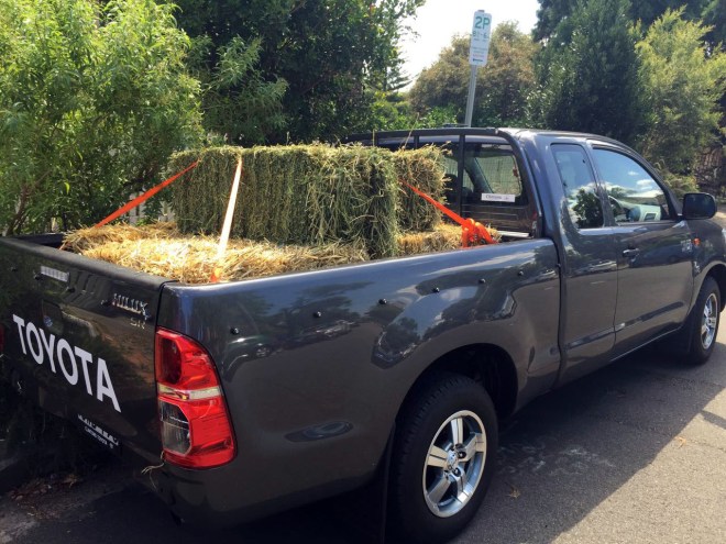 Six bales of straw, plus two bales of lucern hay (for good mesure)