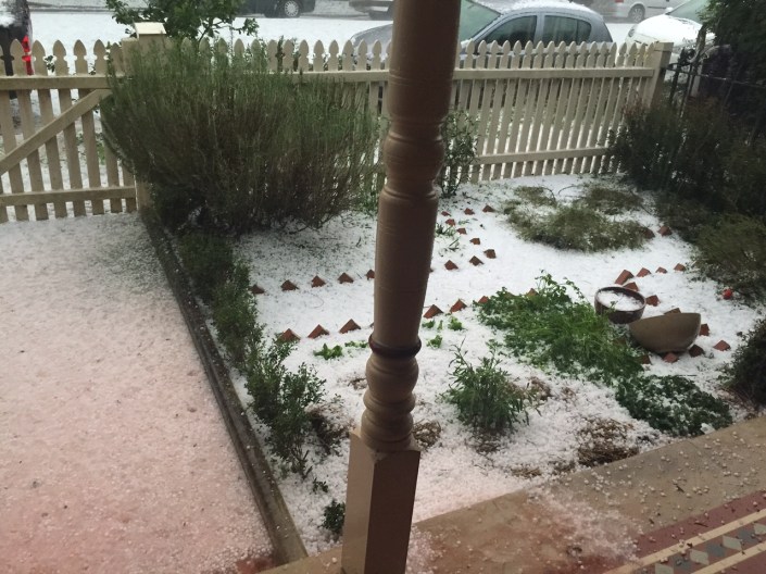 The front garden, as if in a European winter