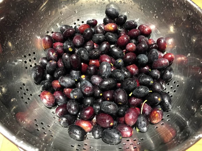 A small harvest of olives, ready for pickling...