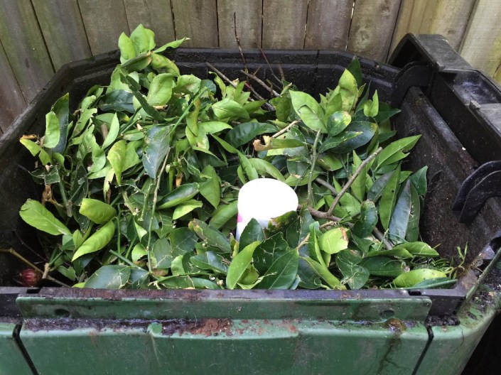 The Aerobin refilled, with its new home-made air spike