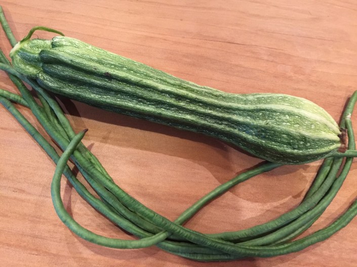 "Costa Romasesque" zucchini, along with snake beans