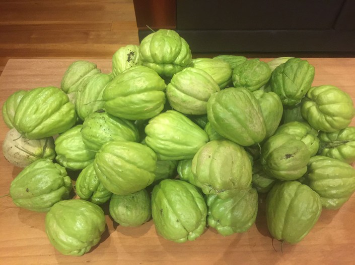 That's a lot of chokos!