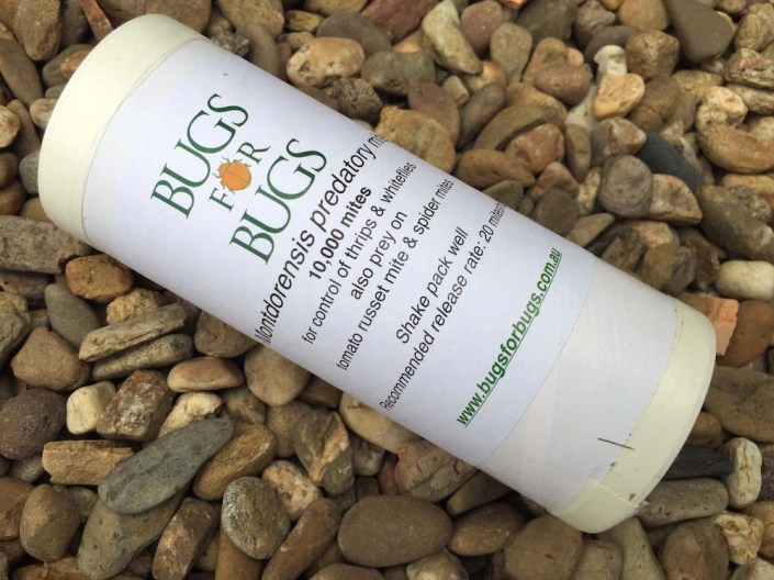 This tube contains 10,000 beneficial bugs (!), delivered in the mail